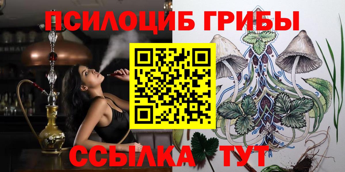 Псилоцибиновые грибы Psilocybe Пугачёв