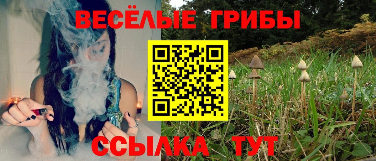 Пугачёв  Галлюциногенные грибы прущие грибы  Вход с VPN 